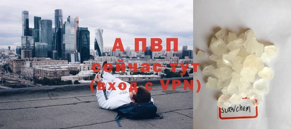 СК Абдулино